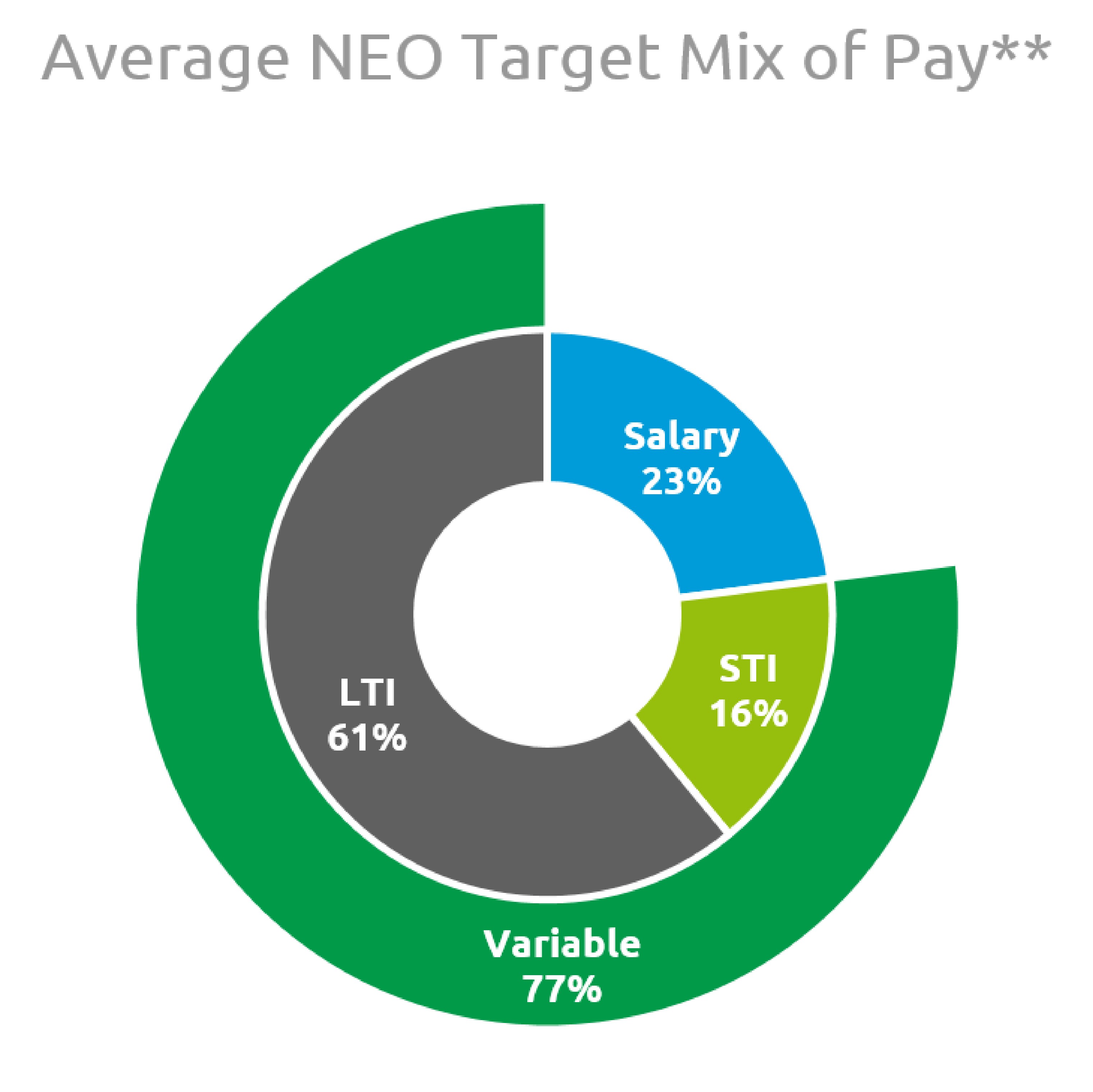 Average NEO Target Mix of Pay.jpg